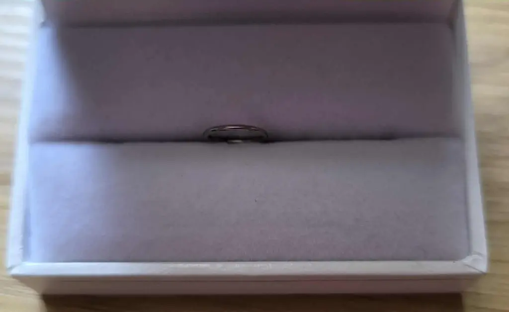 PIERCING " ANNEAU LISSE NEZ "